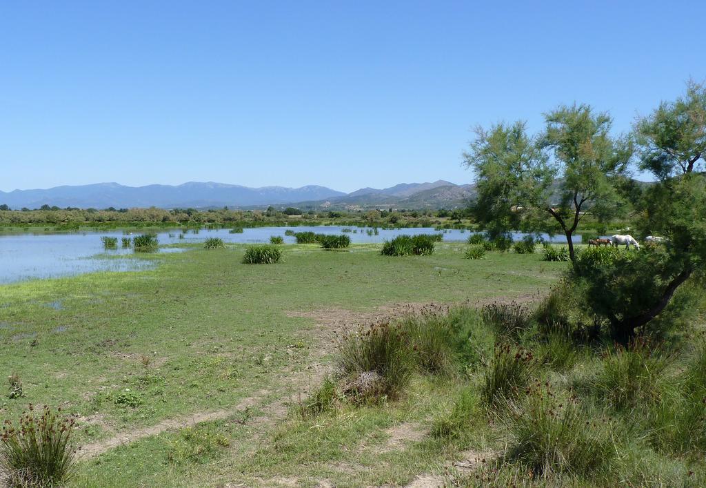 Hotel Can Ceret Sant Pere Pescador Eksteriør bilde